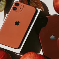 Установка страховочных систем